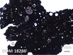 Thin Section Photo of Sample DOM 18286 in Plane-Polarized Light with 1.25X Magnification