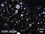 Thin Section Photo of Sample DOM 18286 in Cross-Polarized Light with 1.25X Magnification