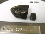 Lab Photo of Sample DOM 18304 Displaying East Orientation