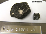 Lab Photo of Sample DOM 18304 Displaying South Orientation