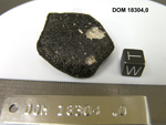 Lab Photo of Sample DOM 18304 Displaying West Orientation