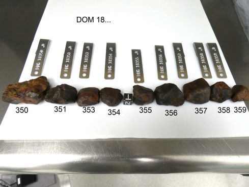 Lab photo of DOM 18358