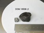 Lab Photo of Sample DOM 18509 Displaying Bottom South Orientation