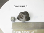 Lab Photo of Sample DOM 18509 Displaying Top North Orientation