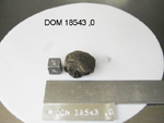 Lab Photo of Sample DOM 18543 Displaying Top North Orientation