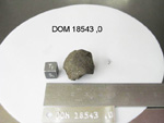 Lab Photo of Sample DOM 18543 Displaying Top South Orientation