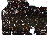 Thin Section Photo of Sample DOM 18543 in Plane-Polarized Light with 1.25X Magnification