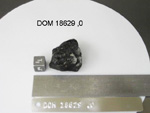 Lab Photo of Sample DOM 18629 Displaying Top East Orientation