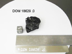 Lab Photo of Sample DOM 18629 Displaying Top West Orientation