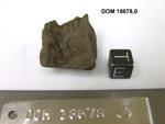 Lab Photo of Sample DOM 18678 Displaying East Orientation