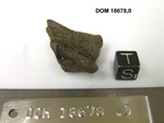 Lab Photo of Sample DOM 18678 Displaying South Orientation