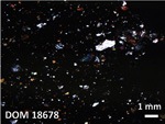 Thin Section Photo of Sample DOM 18678 in Cross-Polarized Light with 1.25X Magnification