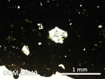 Thin Section Photo of Sample DOM 19019 in Plane-Polarized Light with 2.5X Magnification