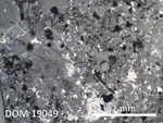 Thin Section Photo of Sample DOM 19049 in Reflected Light with 2.5X Magnification