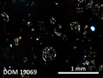 Thin Section Photo of Sample DOM 19069 in Cross-Polarized Light with 2.5X Magnification