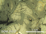 Thin Section Photo of Sample DOM 19117 in Reflected Light with 2.5X Magnification