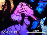 Thin Section Photo of Sample DOM 19117 in Cross-Polarized Light with 2.5X Magnification