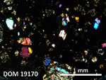 Thin Section Photo of Sample DOM 19170 in Cross-Polarized Light with 2.5X Magnification