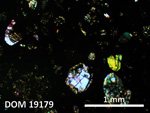 Thin Section Photo of Sample DOM 19179 in Cross-Polarized Light with 2.5X Magnification