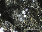 Thin Section Photo of Sample DOM 19340 in Plane-Polarized Light with 2.5X Magnification