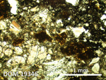 Thin Section Photo of Sample DOM 19346 in Plane-Polarized Light with 2.5X Magnification