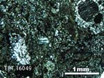 Thin Section Photo of Sample EET 16049 in Plane-Polarized Light with 2.5X Magnification