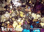 Thin Section Photograph of Sample EET 83309 in Cross-Polarized Light