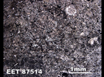 Thin Section Photo of Sample EET 87514 in Plane-Polarized Light