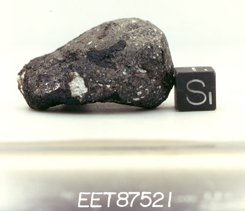 Lab Photograph of Sample EET 87521 (Photo Number S88-42978)