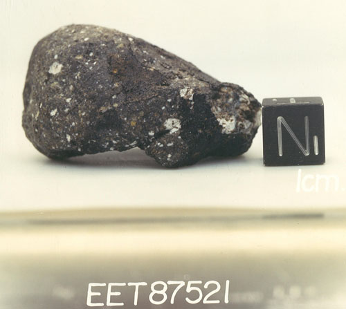 Lab Photograph of Sample EET 87521 (Photo Number S88-42979)