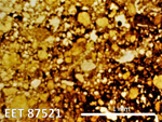 Thin section photo of EET 87521 ppl