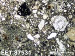 Thin Section Photograph of Sample EET 87531 in Plane-Polarized Light