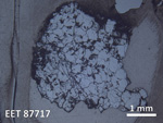 Thin Section Photo of Sample EET 87717 in Reflected Light with 1.25X Magnification