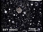 Thin Section Photo of Sample EET 90043 in Plane-Polarized Light