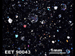 Thin Section Photo of Sample EET 90043 in Cross-Polarized Light