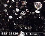 Thin Section Photo of Sample EET 92126 in Plane-Polarized Light