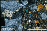 Thin Section Photo of Sample EET 96003 in Cross-Polarized Light with 2.5X Magnification
