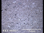 Thin Section Photo of Sample EET 96007 in Reflected Light