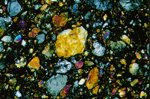 Thin Section Photograph of Sample EET 96008 in Cross-Polarized Light