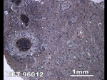 Thin Section Photo of Sample EET 96012 in Reflected Light