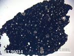 Thin Section Photo of Sample EET 96014 in Plane-Polarized Light with  Magnification