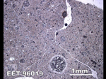 Thin Section Photo of Sample EET 96019 in Reflected Light