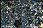 Thin Section Photo of Sample EET 96026 in Cross-Polarized Light with 2.5X Magnification