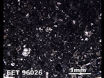 Thin Section Photo of Sample EET 96026 in Plane-Polarized Light
