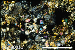 Thin Section Photo of Sample EET 96031 in Cross-Polarized Light with 2.5X Magnification