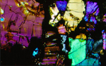 Thin Section Photo of Sample EET 96042 in Cross Polarized Light