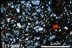 Thin Section Photo of Sample EET 96077 in Cross-Polarized Light with 2.5X Magnification