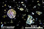 Thin Section Photo of Sample EET 96098 in Cross-Polarized Light with 2.5X Magnification
