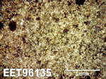 Thin Section Photo of Sample EET 96135 in Plane-Polarized Light
