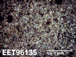 Thin Section Photo of Sample EET 96135 in Cross-Polarized Light